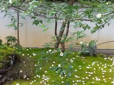 東林院(京都府)