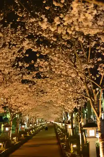 鶴岡八幡宮(神奈川県)