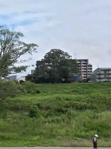 旅立稲荷神社の周辺