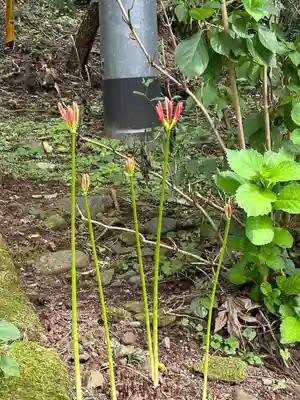 諏訪神社(茨城県)