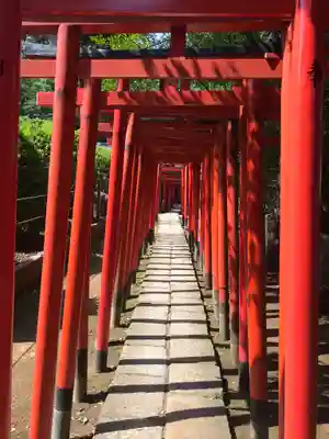 根津神社の鳥居