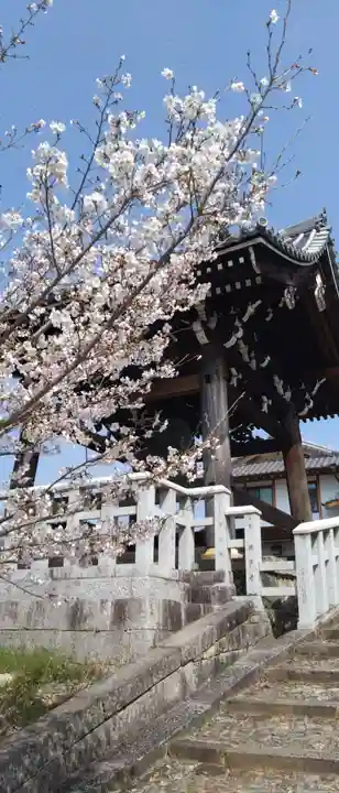 くろ谷 金戒光明寺(京都府)