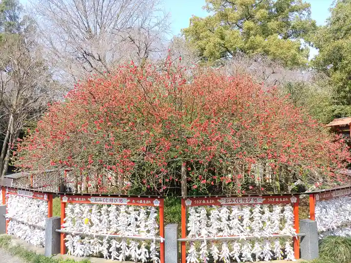 冠稲荷神社(群馬県)