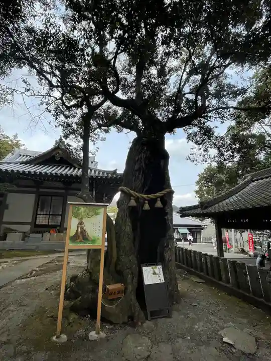 八幡竃門神社の自然