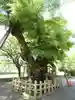 彌榮神社(島根県)