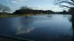 筑波神社の自然