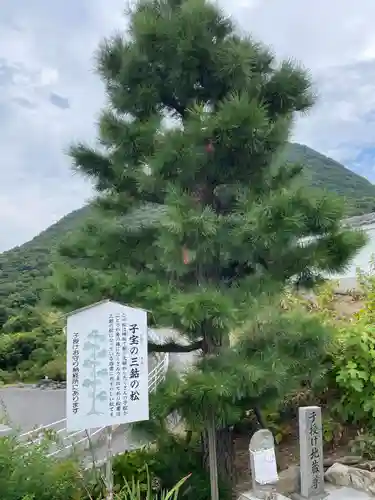 出釋迦寺(香川県)
