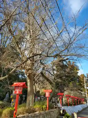 神炊館神社 ⁂奥州須賀川総鎮守⁂(福島県)