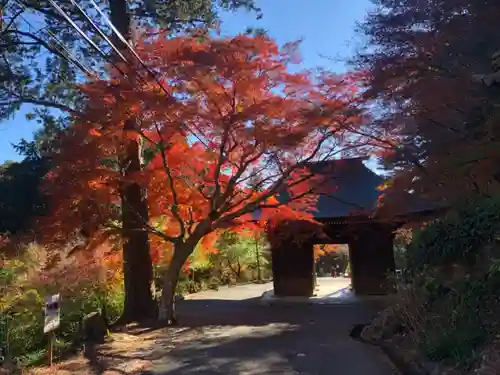 普門寺(切り絵御朱印発祥の寺)の山門・神門
