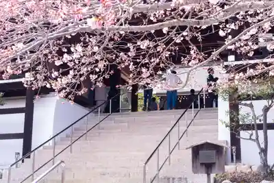 近江神宮(滋賀県)
