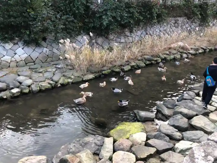 忌宮神社の自然