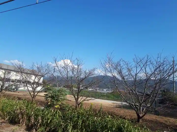 大和神社(奈良県)
