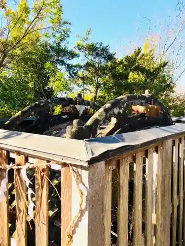 冨士浅間神社(茨城県)
