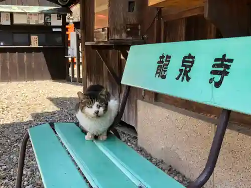 龍泉寺(愛知県)
