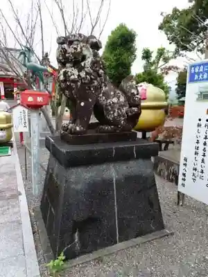 箱崎八幡神社の狛犬