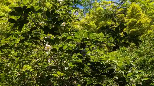 東林院(京都府)