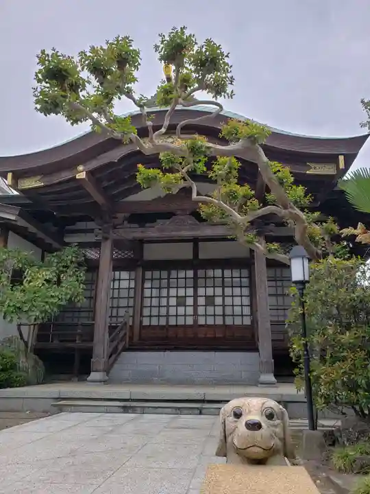 南松寺(東京都)