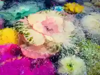 滑川神社 - 仕事と子どもの守り神の手水舎