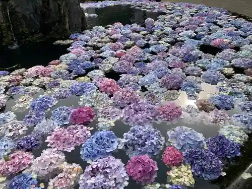 久安寺(大阪府)