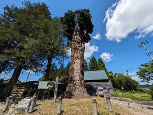 豊龍神社(山形県)