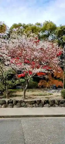 熱田神宮(愛知県)