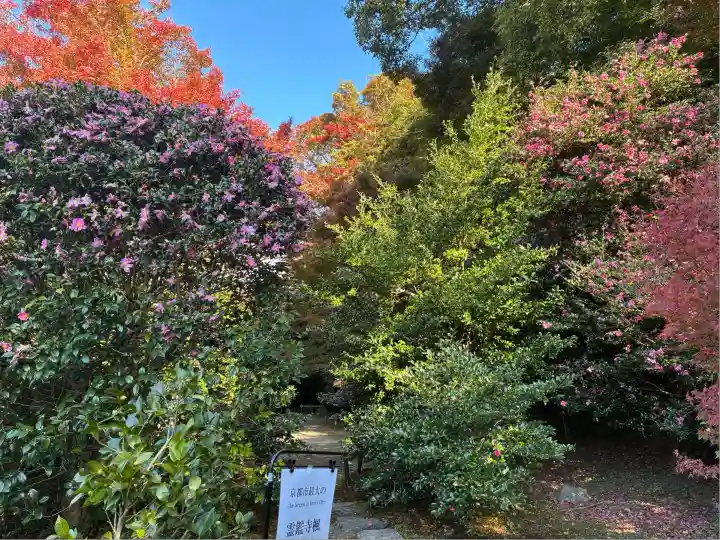 霊鑑寺門跡(京都府)