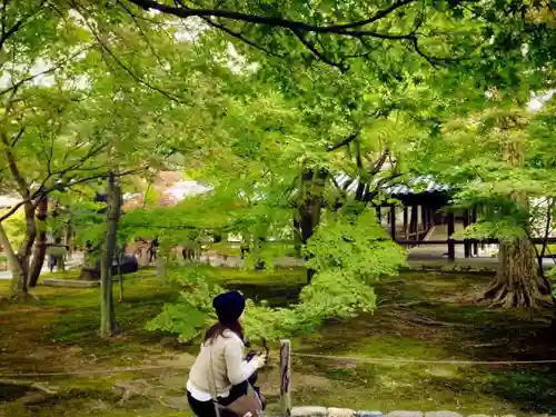 東福禅寺（東福寺）の庭園