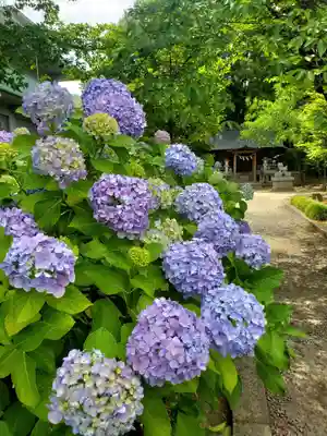 開成山大神宮(福島県)