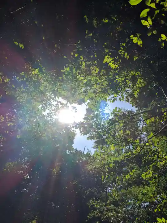 尾張戸神社(瀬戸市・名古屋市守山区)の自然