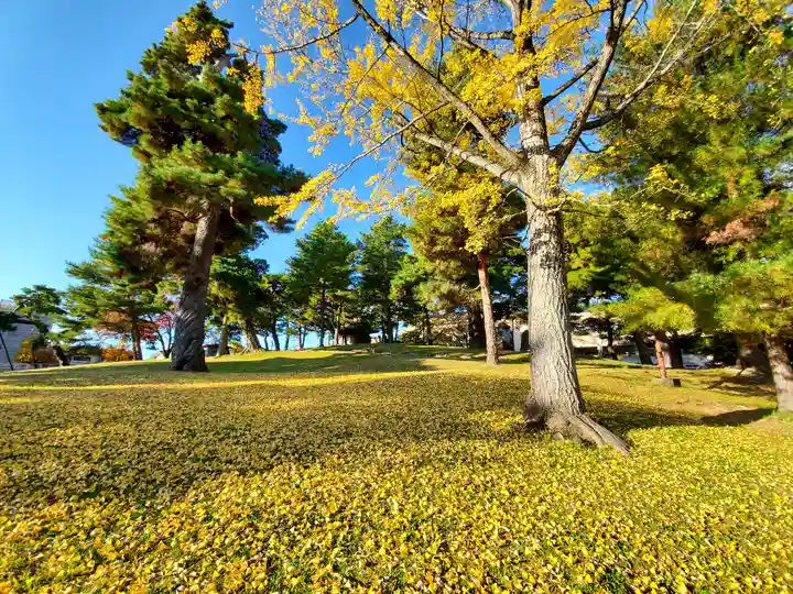 麓山神社の自然