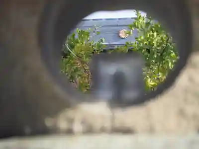 伊弉諾神宮(兵庫県)