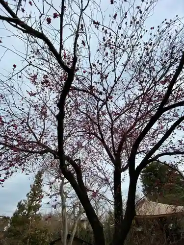 常泉寺(神奈川県)