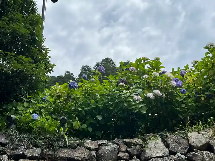 勝尾寺(大阪府)