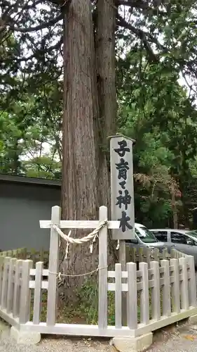 新倉富士浅間神社の自然