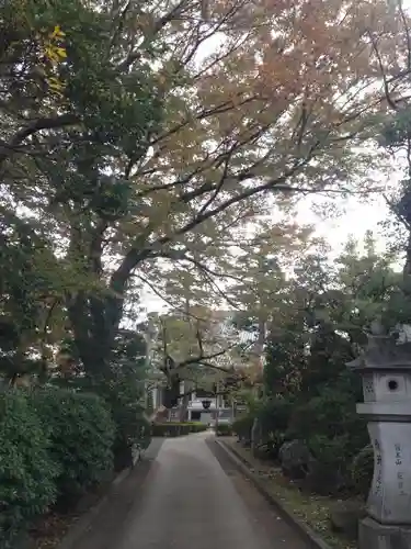 荘厳寺の庭園