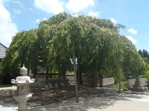 荘厳寺(岐阜県)