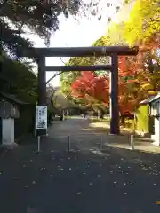 常磐神社の鳥居