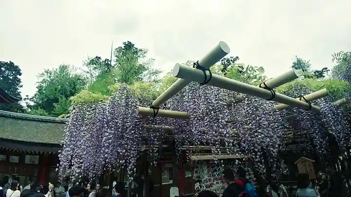 春日大社(奈良県)