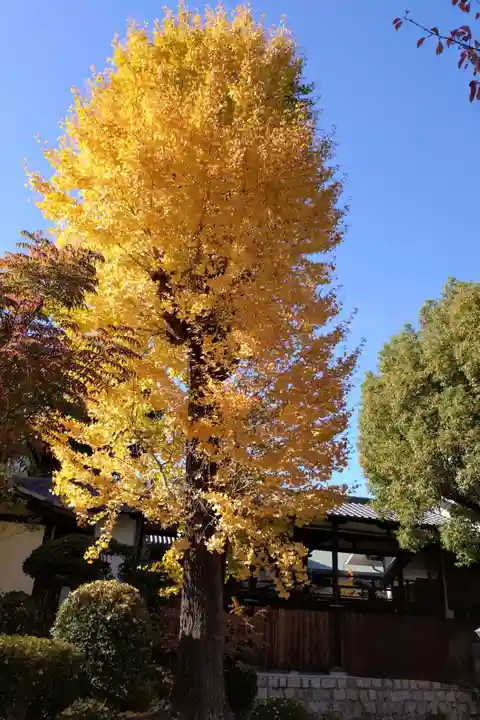 四天王寺(大阪府)