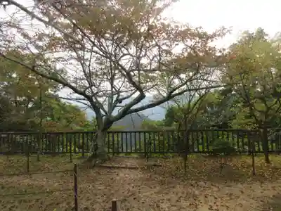 施福寺(大阪府)