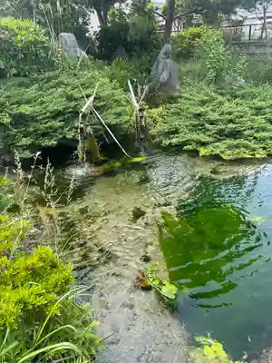 泉神社(茨城県)