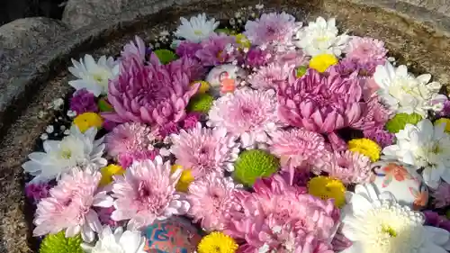 埼玉厄除け開運大師・龍泉寺（切り絵御朱印発祥の寺）の手水舎