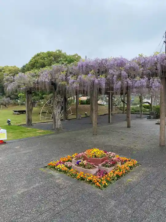 大山祇神社(愛媛県)