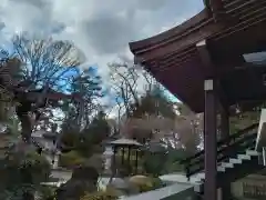 徳善寺(神奈川県)