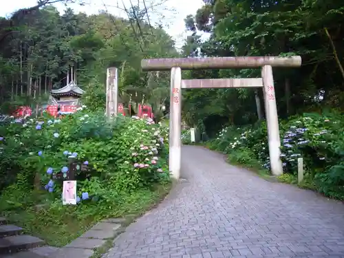 太平山神社の鳥居