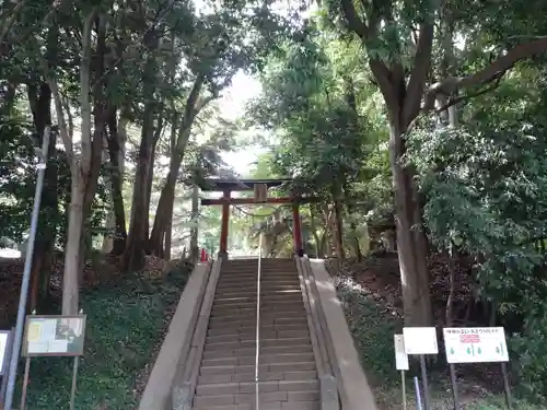 氷川女體神社の鳥居