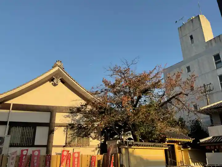想念寺(愛知県)