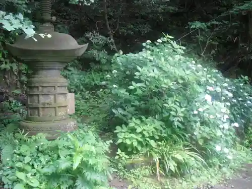 安國論寺（安国論寺）の塔