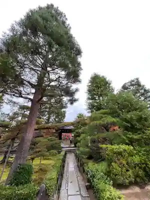 大仙院(京都府)