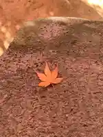 滑川神社 - 仕事と子どもの守り神(福島県)